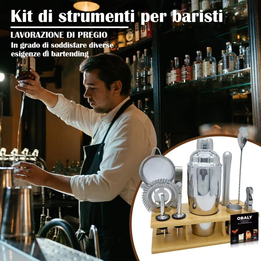 11-Piece Bartender Kit With Co - Boston Shaker Set review and price