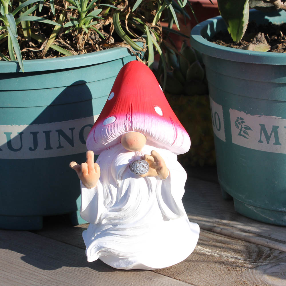 Mushroom Smoking Gnomes Funny  - Home Bargains review and price
